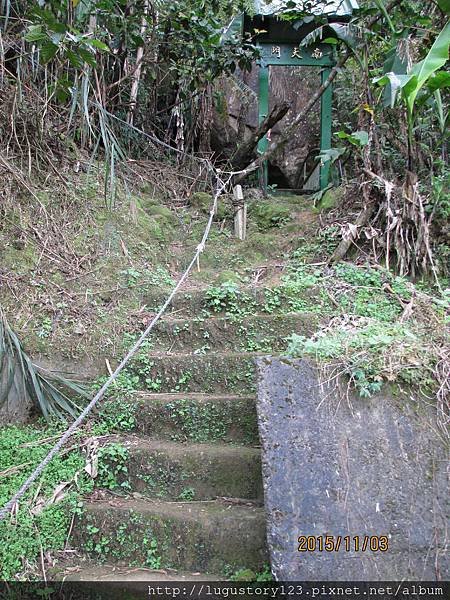 鹿谷景點:登鳳凰山借鳳凰眼1