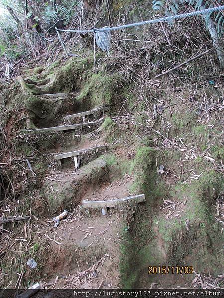 鹿谷景點:登鳳凰山借鳳凰眼2