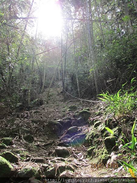 鹿谷景點:登鳳凰山借鳳凰眼4