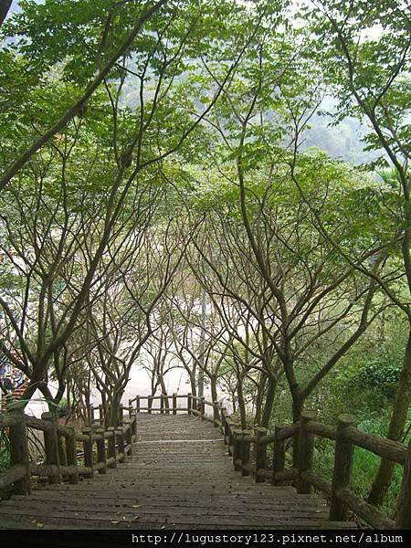 鹿谷景點: 麒麟潭 鳳凰山登山步道3