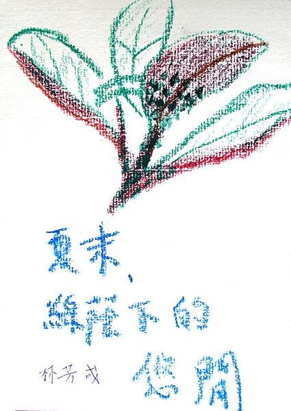 林芳成