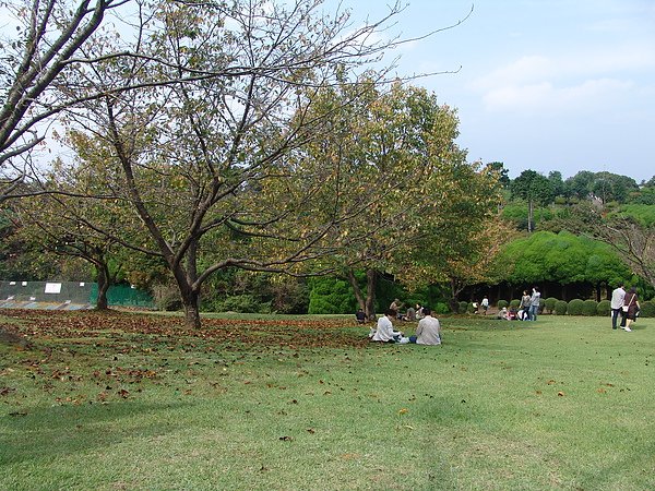 DSC00242.JPG