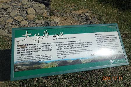 DSC00232.JPG