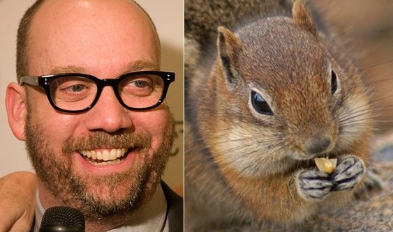 Paul Giamatti.jpg