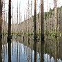 20110924水漾森林