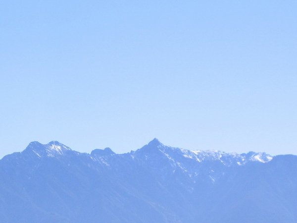 081210金柑樹山