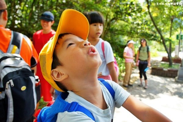 坪頂古圳親山步道：【台北】極美梯田～冰涼溪水透心涼@坪頂古圳親山步道