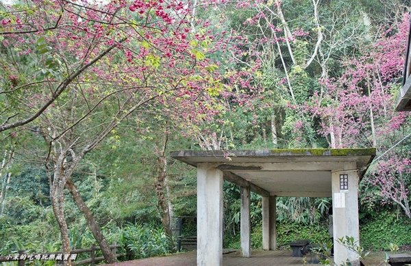 大山背人文生態館：【新竹】大山背客家人文生態館，SHE也來站台了！