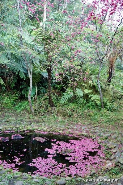 大山背人文生態館：【新竹】大山背客家人文生態館，SHE也來站台了！