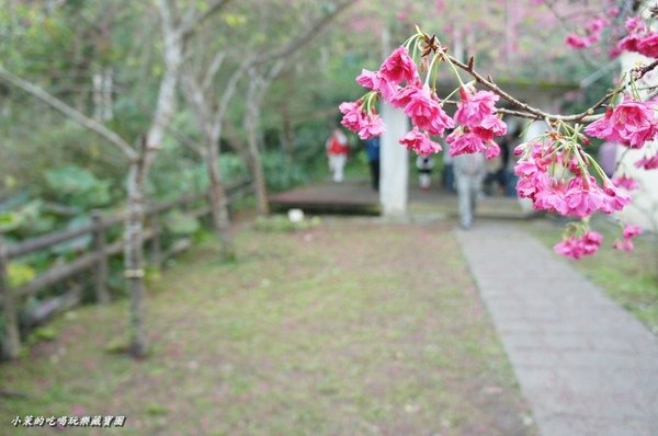 大山背人文生態館：【新竹】大山背客家人文生態館，SHE也來站台了！