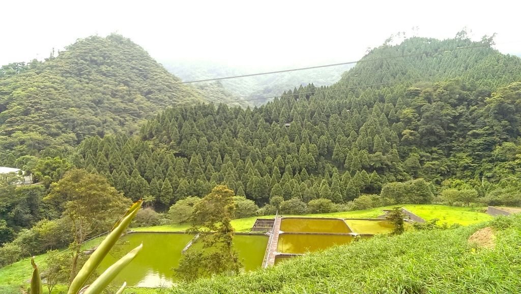 永茂森林山莊