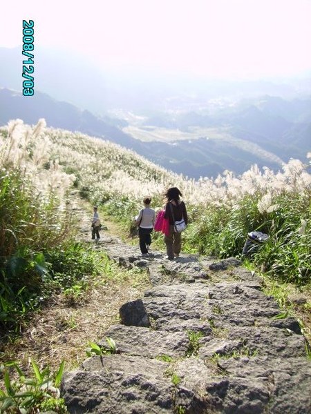 PICT3211.jpg