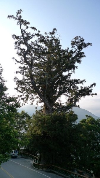 P1000254.jpg
