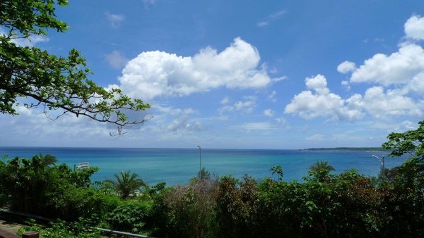 P1000425_1.jpg