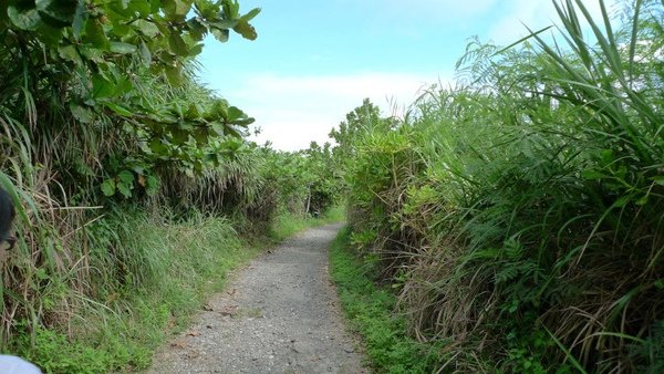 P1000438_1.jpg
