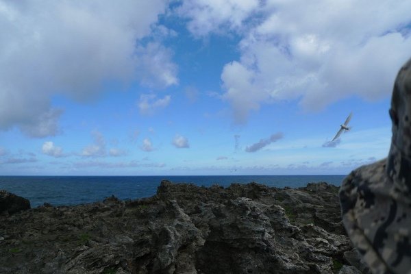 P1000449_1.jpg