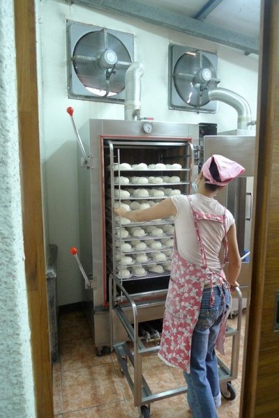P1000568_1.jpg