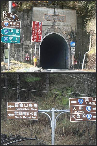 DSC06201_副本.jpg