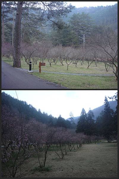 DSC06221_副本.jpg