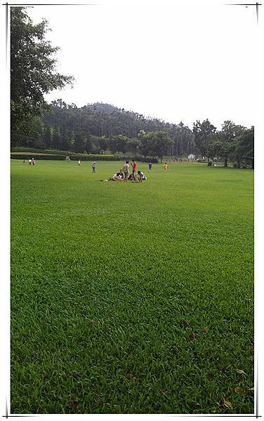 IMAG0262_副本.jpg
