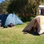 farm stay2 065.jpg