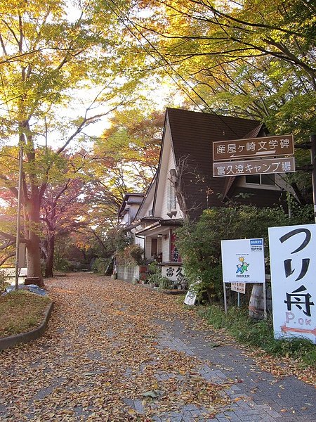 東京秋日行