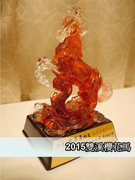 2015雙溪櫻花馬初馬獎