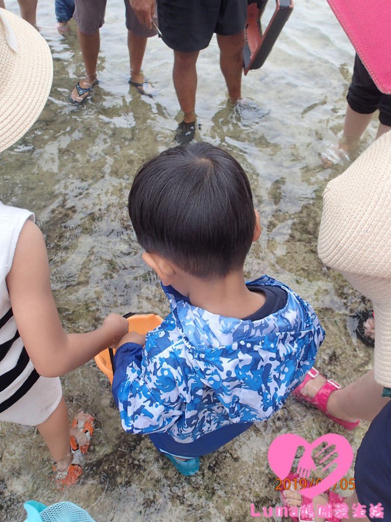 潮間帶活動2.JPG