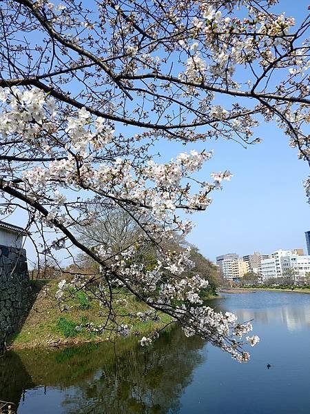 九州之旅~2024/03/30