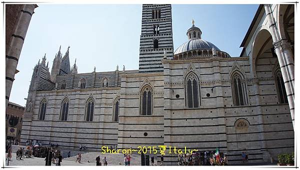 DSC08878.jpg