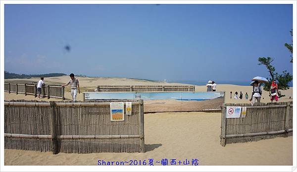 DSC04459.jpg