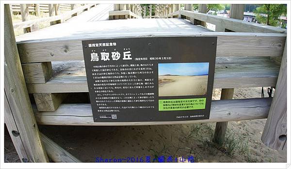 DSC04489.jpg