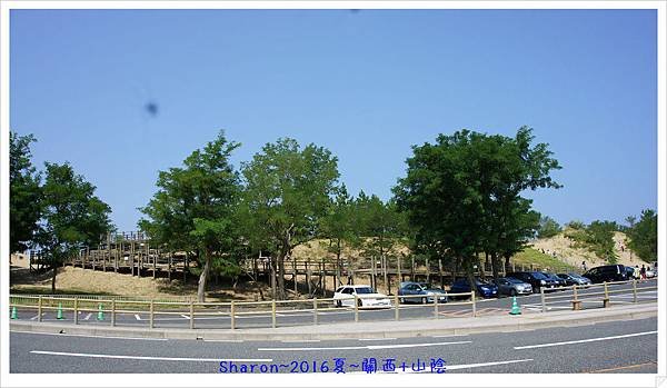 DSC04492.jpg