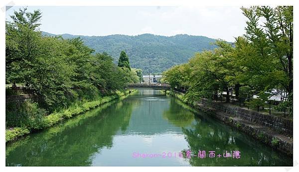DSC04951.JPG