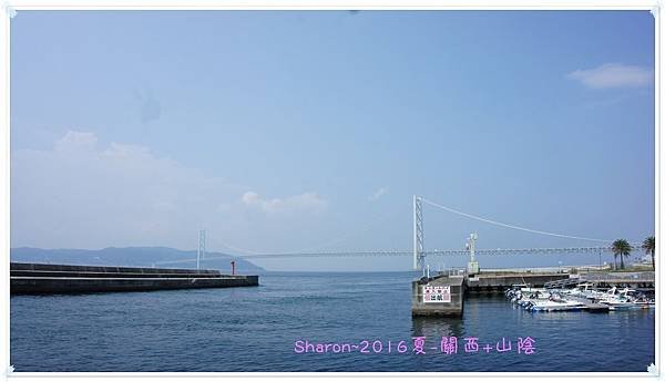 DSC05254.JPG