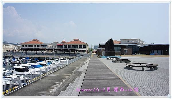 DSC05256.JPG