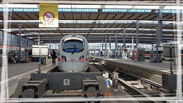 20170805_091240_HDR.jpg