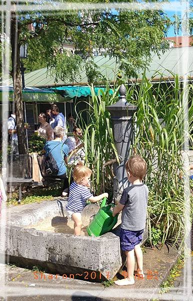 20170805_112532.jpg