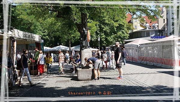 DSC05509.jpg