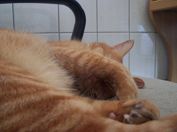 100_6064.JPG