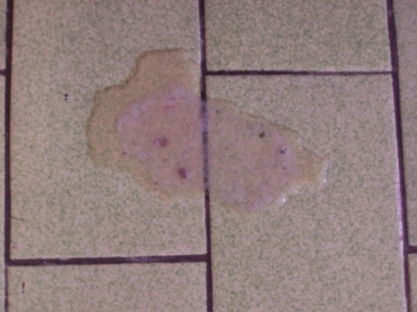 100_6042.JPG