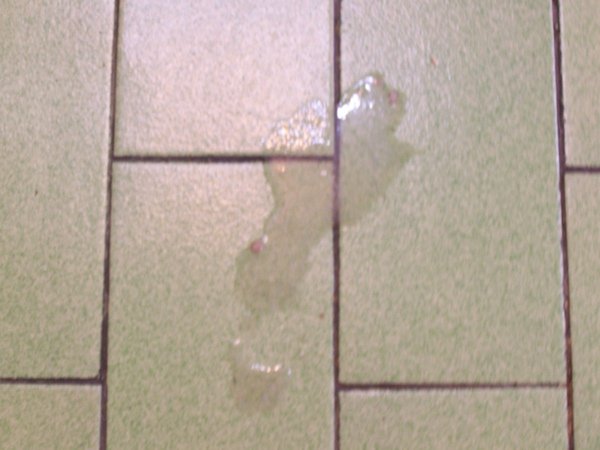 100_6043.JPG