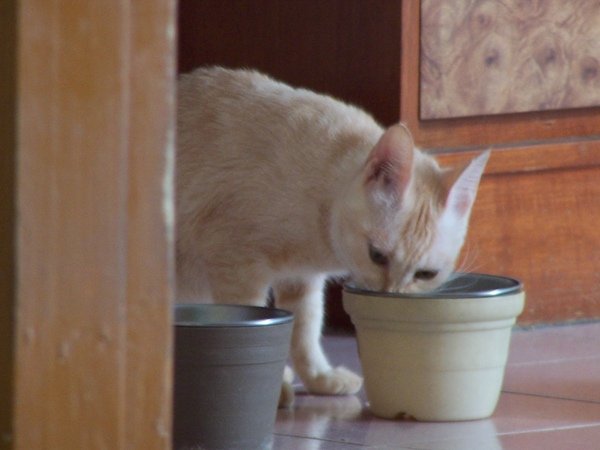 100_6062.JPG