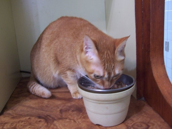 100_7069.JPG