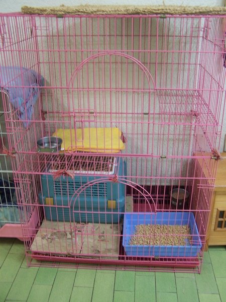 100_7087.JPG