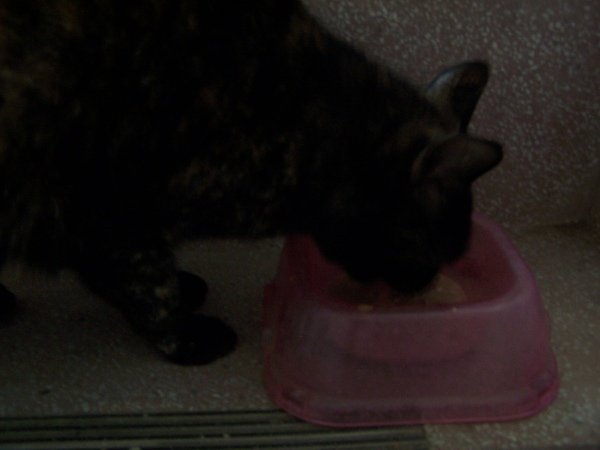 100_7091.JPG