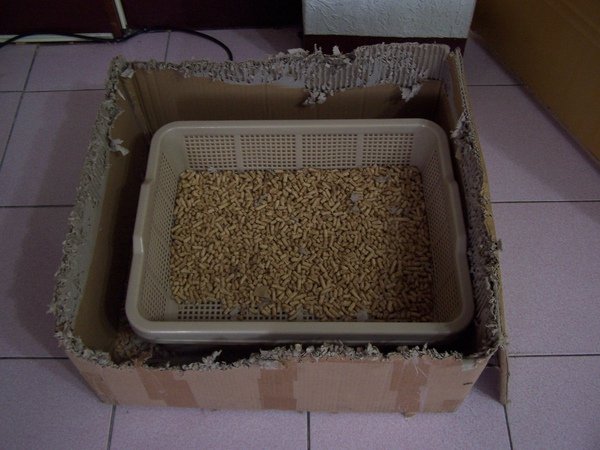100_7294.JPG