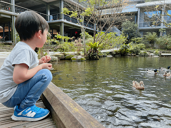 【宜蘭住宿】紫森林三富休閒農場～溪水抓蝦、餵食魚鴨、夜間生態