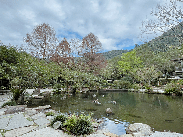 【宜蘭住宿】紫森林三富休閒農場～溪水抓蝦、餵食魚鴨、夜間生態