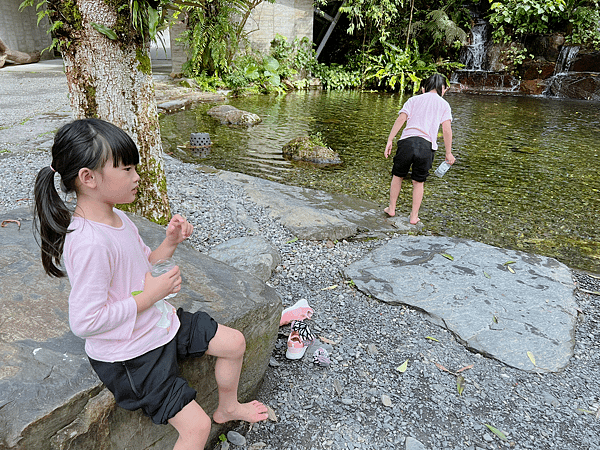 【宜蘭住宿】紫森林三富休閒農場～溪水抓蝦、餵食魚鴨、夜間生態